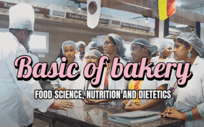 Basics of bakery
